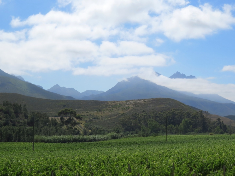 Commercial Property for Sale in Swellendam Rural Western Cape